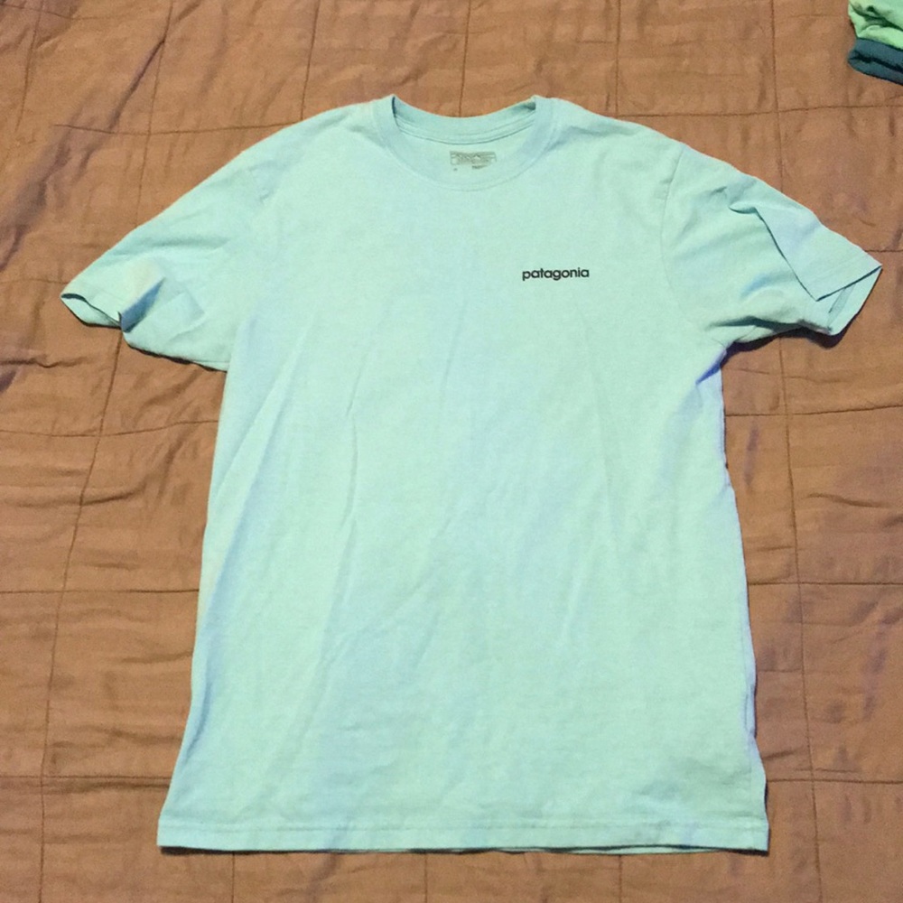 Patagonia shirt